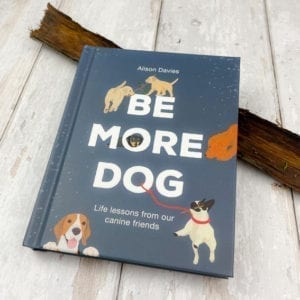 A picture of the Be More Dog Book
