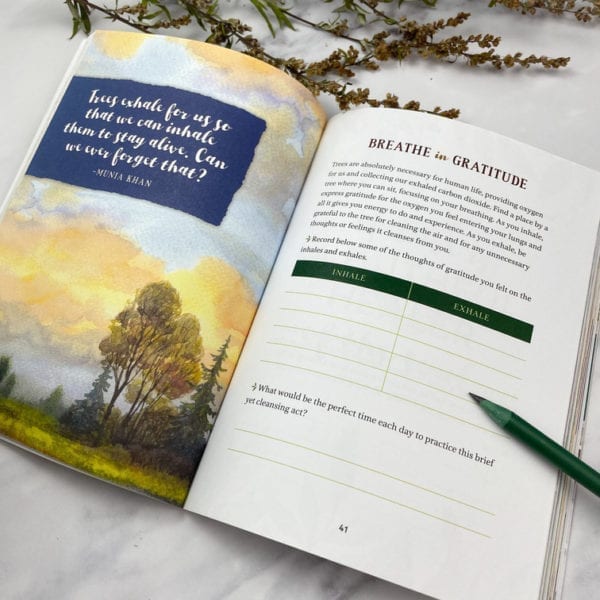 A picture of the inside of Wild Calm Book