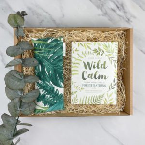 Mini Forest Bathing Box