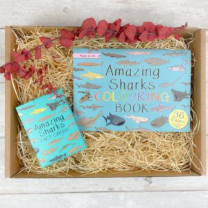 Eco Shark Kids Care Package