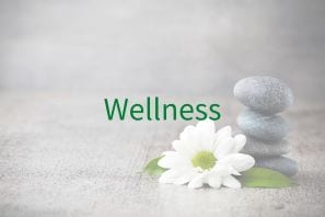 Gifts to inspire those who focus on Wellness.